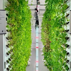 Vertical hydroponics system with lush greens and LED lights.
