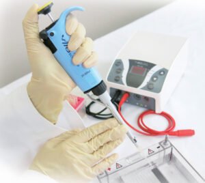 Gel Electrophoresis Power Supply