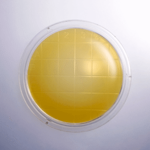 SteriPack Triple Wrapped Tryptic Soy Agar (TSA Agar) Media