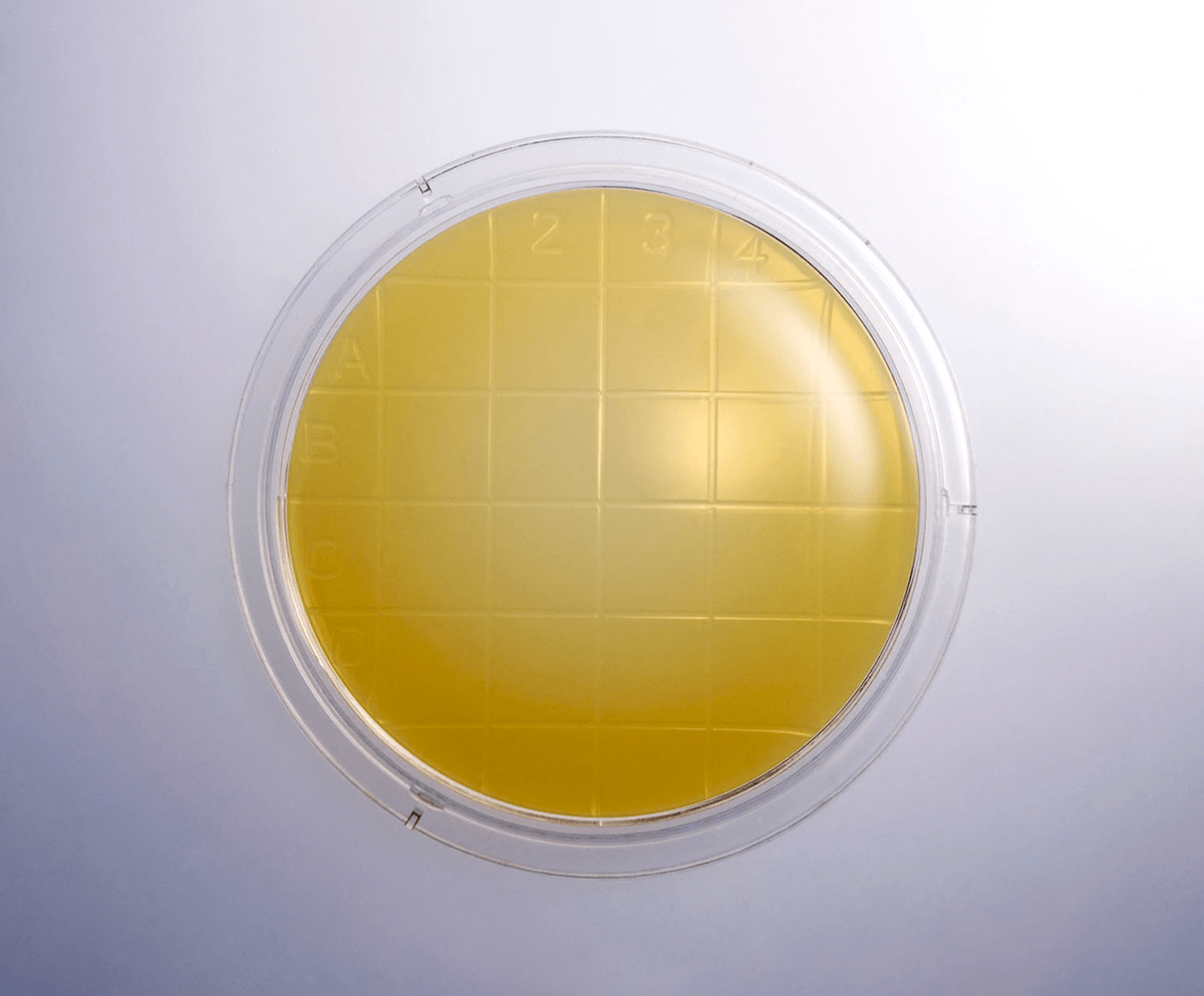 SteriPack Triple Wrapped Tryptic Soy Agar (TSA Agar) Media