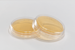Two Contact Plates with Tryptic Soy Agar