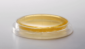 Tryptic soy agar with lecithin and polysorbate 80