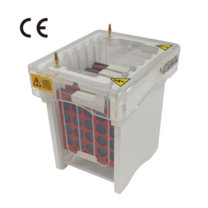 mini electro blot system Western blot