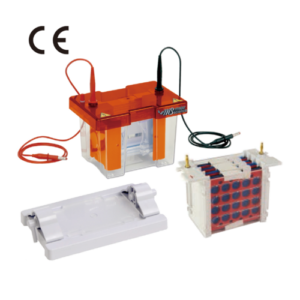 complete mini electro blot system gel electrophoresis