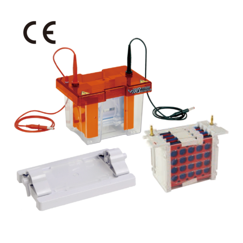 complete mini electro blot system gel electrophoresis