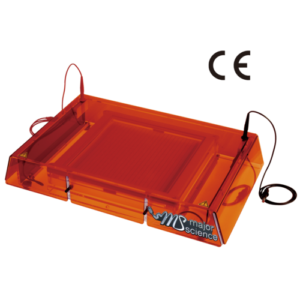 flatbed IEF system isoelectric focusing