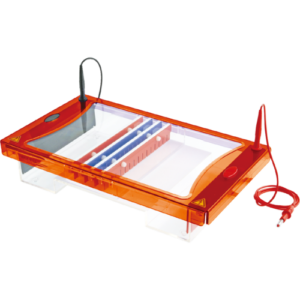maxi horizontal gel electrophoresis system high throughput