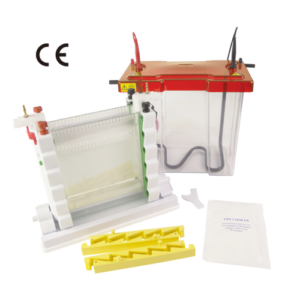 maxi vertical electrophoresis system large format protein