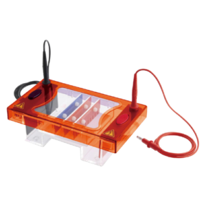 midi horizontal electrophoresis system 100 samples