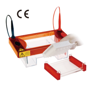 96 well gel electrophoresis system high throughput PCR