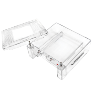 mini horizontal gel electrophoresis system