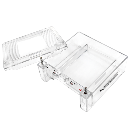 mini horizontal gel electrophoresis system