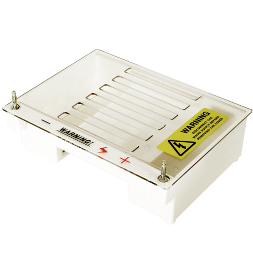 mini horizontal gel electrophoresis system