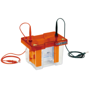 mini vertical gel electrophoresis system