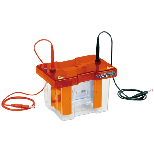 mini vertical gel electrophoresis system